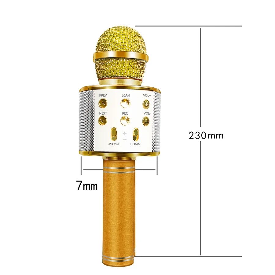 Bluetooth karaoke mikrofon