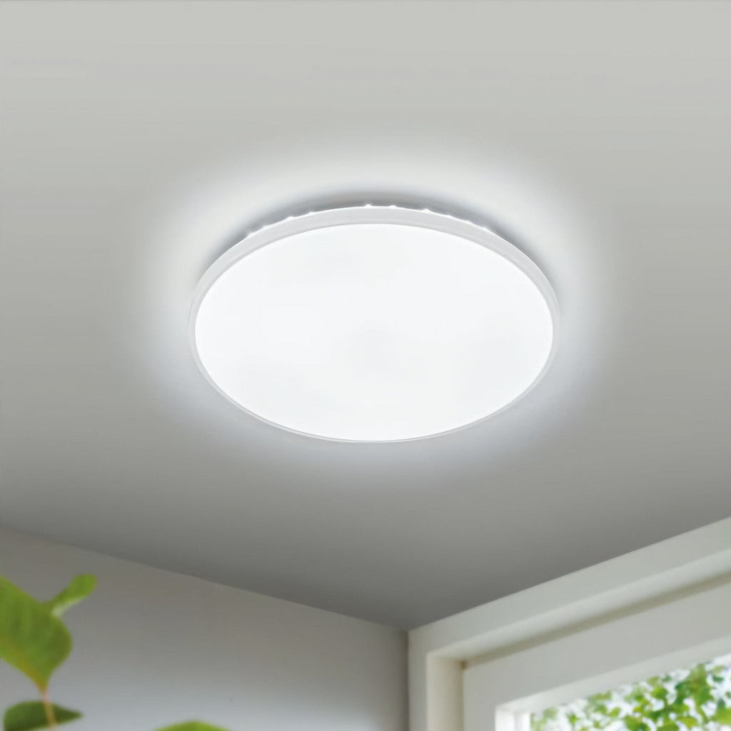 Livarno LED Stropna Lampa
