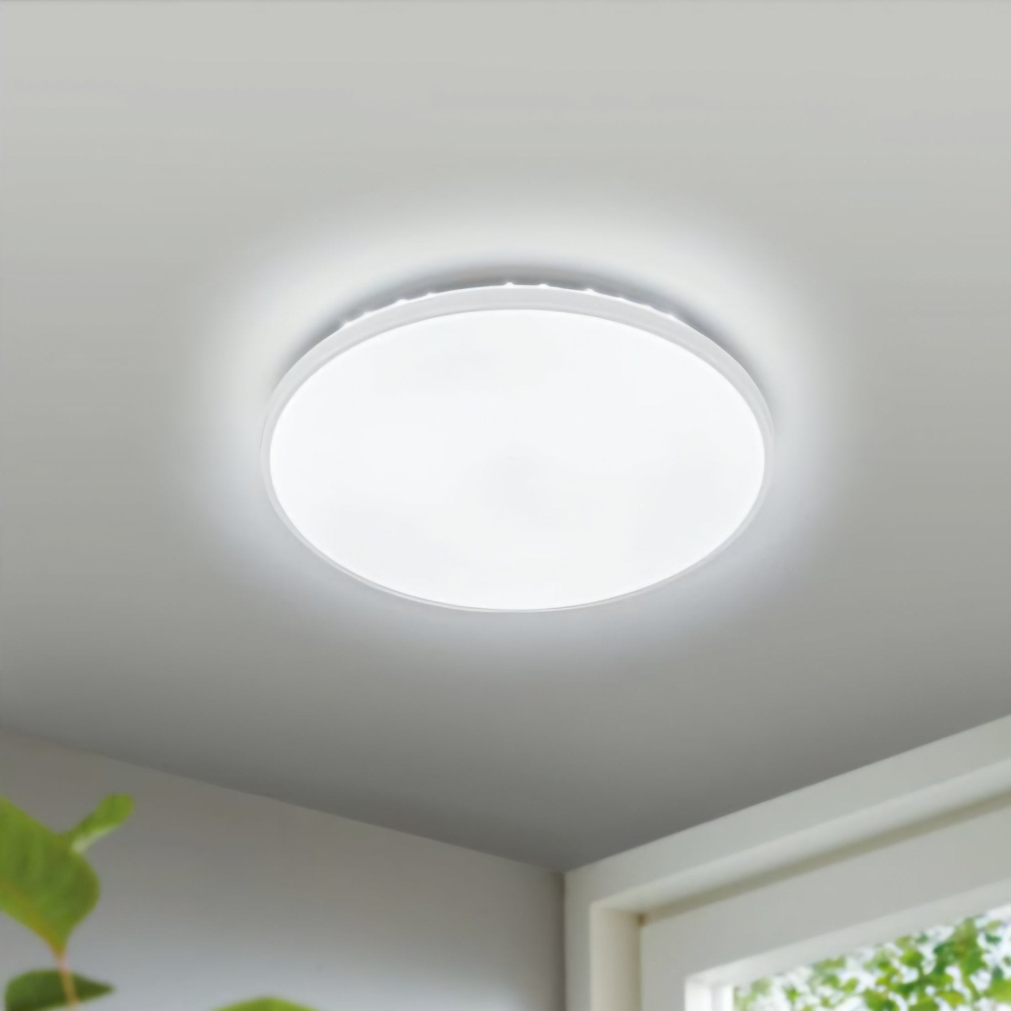 Livarno LED Stropna Lampa
