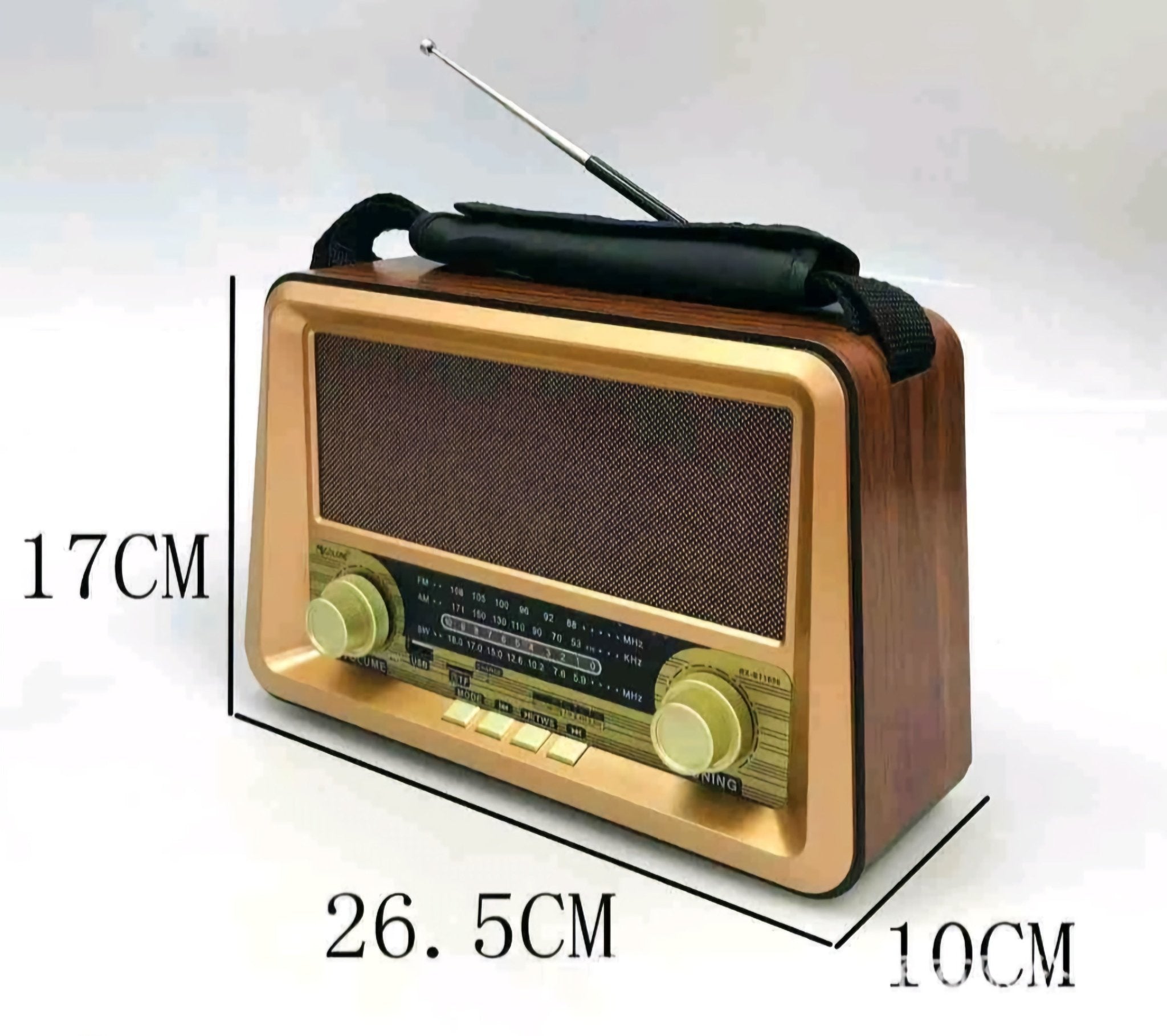 RX-BT1006 Prenosni Bluetooth Radio