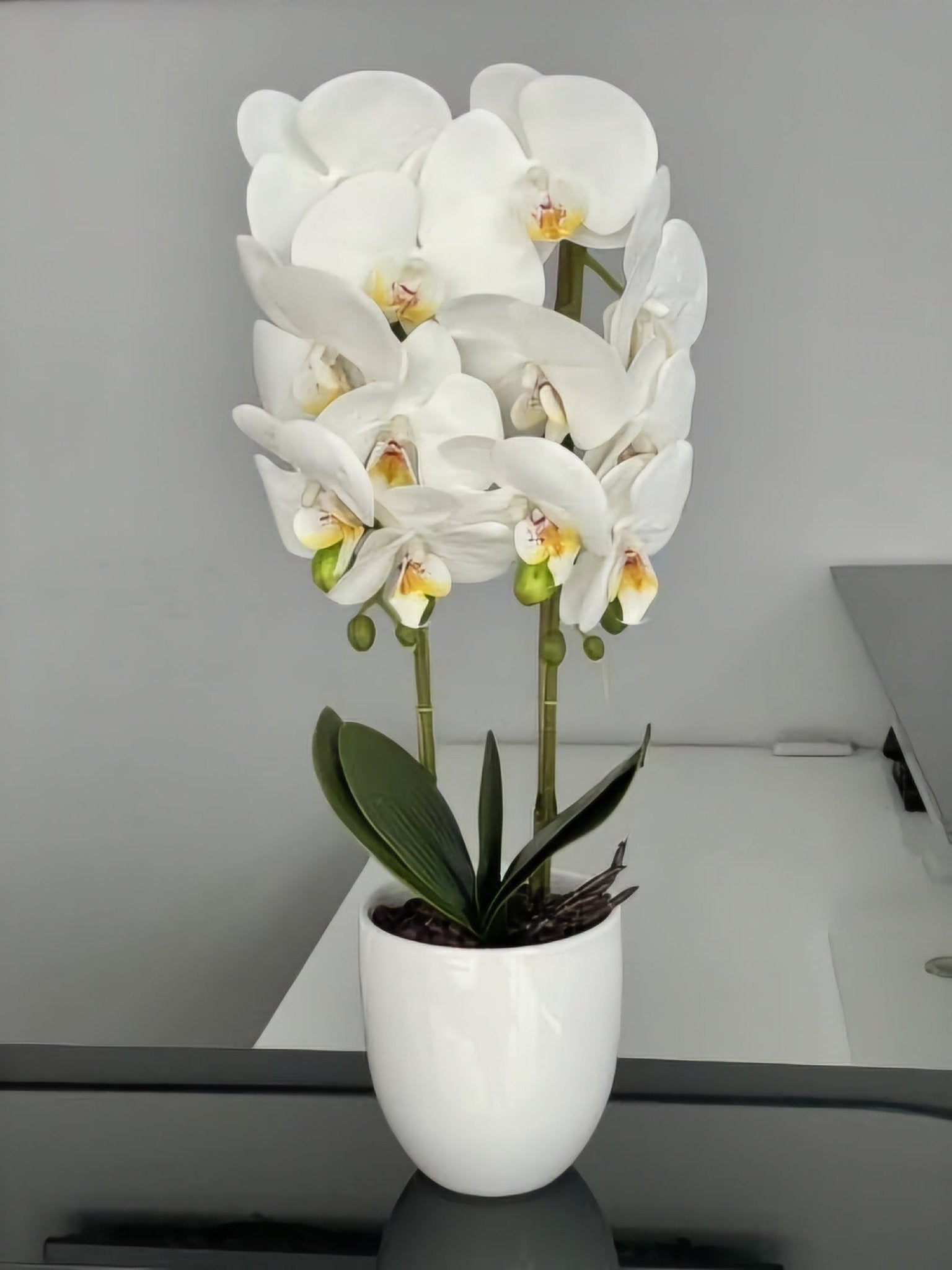 Umjetna Orhideja (53 cm)