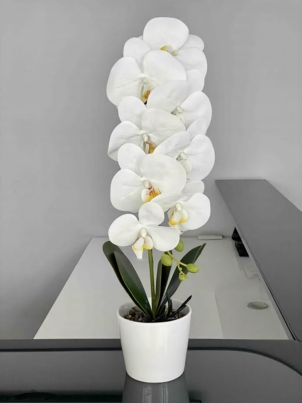 Umjetna Orhideja (53 cm)