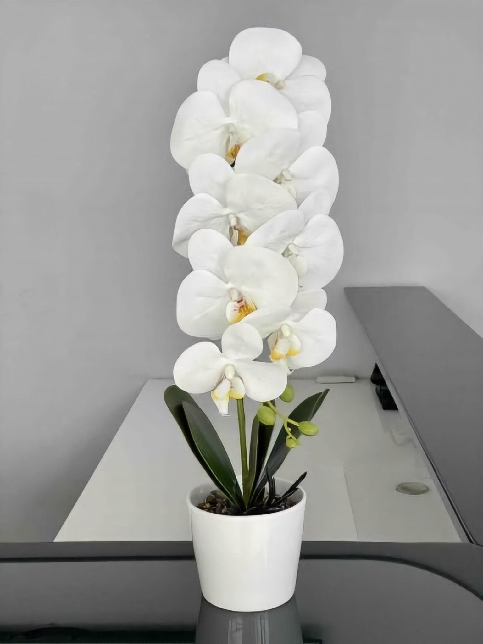 Umjetna Orhideja (53 cm)