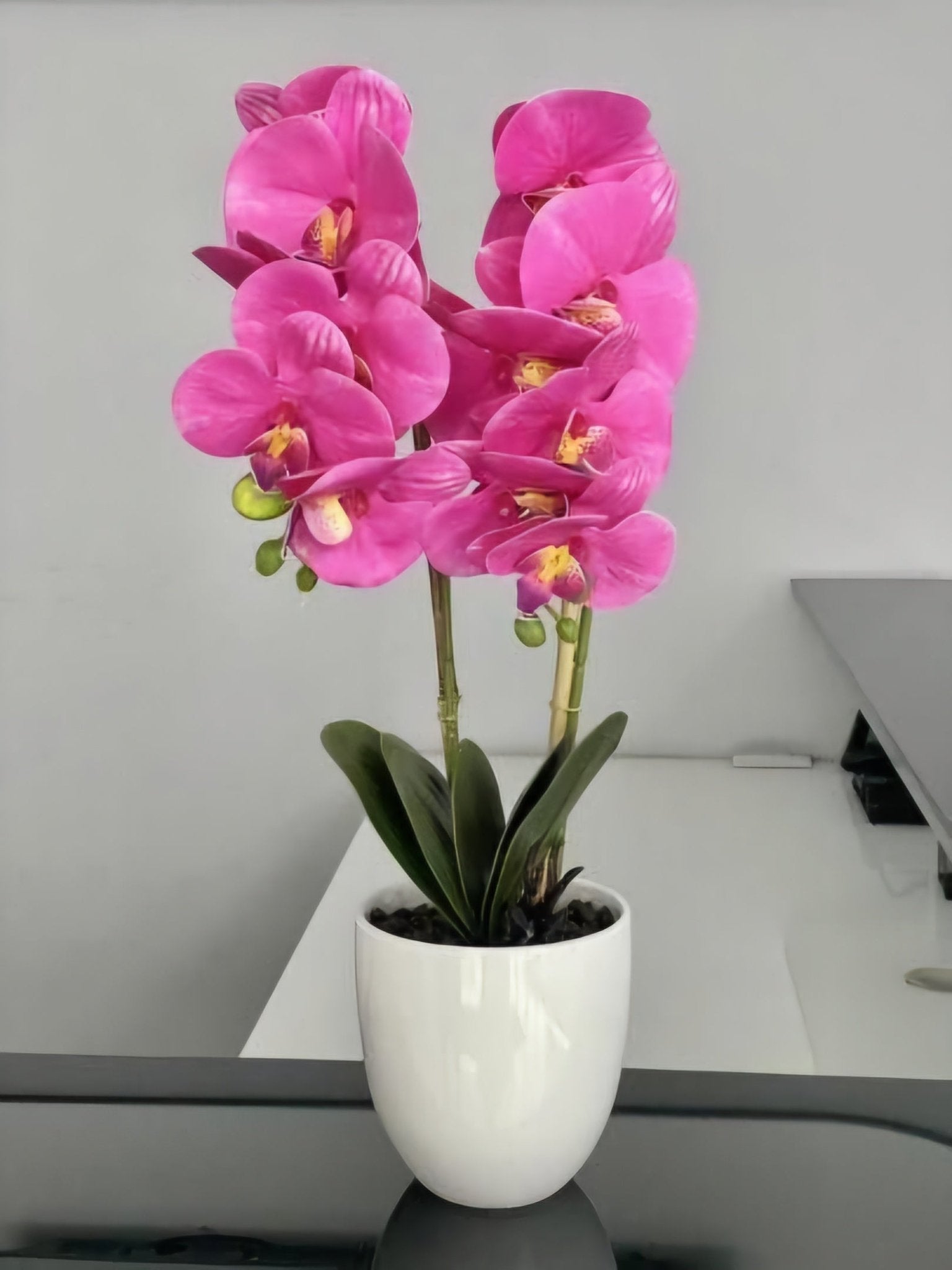 Umjetna Orhideja (53 cm)