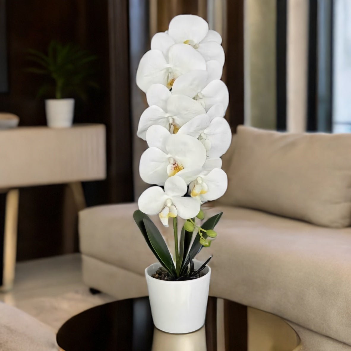 Umjetna Orhideja (53 cm)