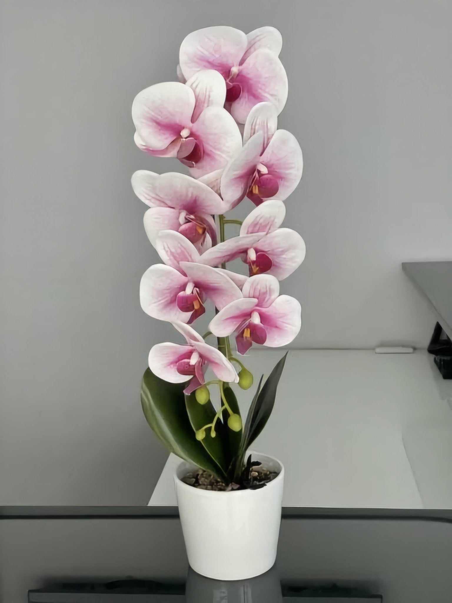 Umjetna Orhideja (53 cm)